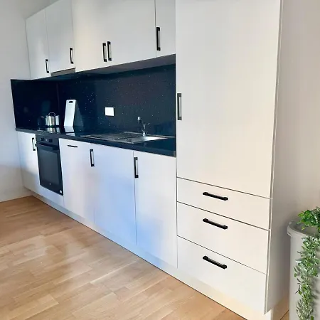 Modern With Garden Near Scs * וינר ניודורף
